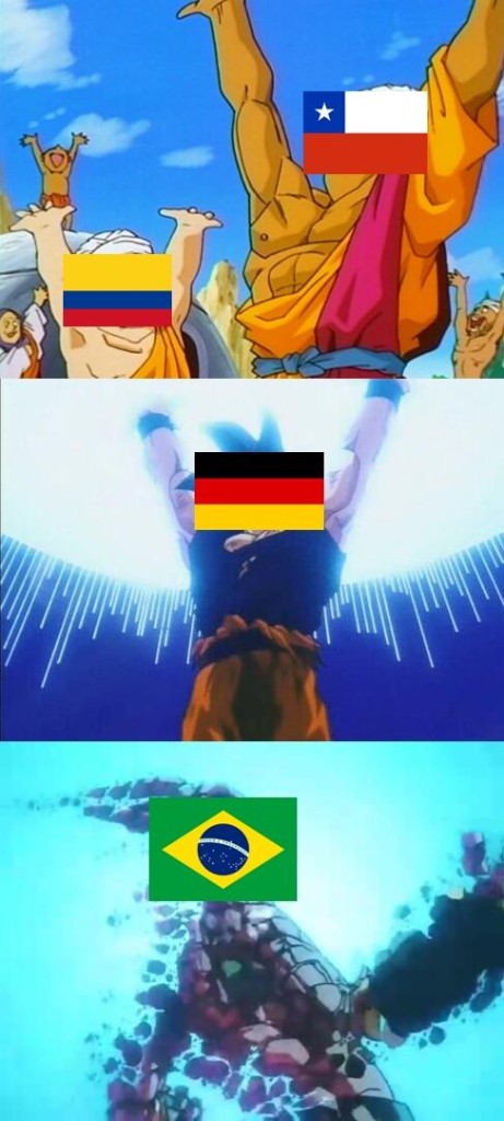 Memes Brazil 2014 (36)