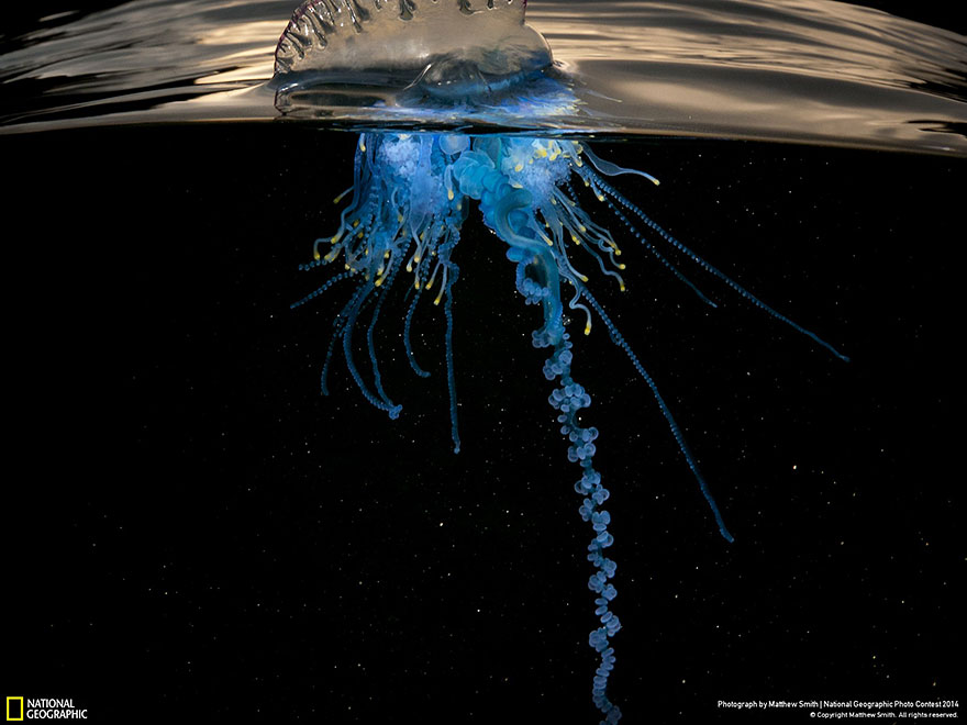 National Geographic (8)