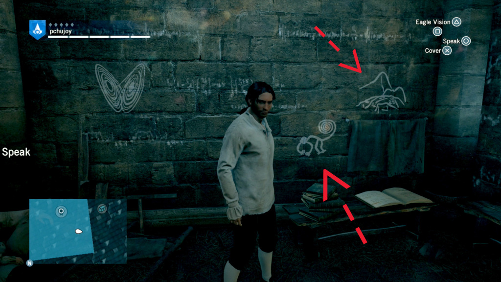 Assassins Creed Unity (2)