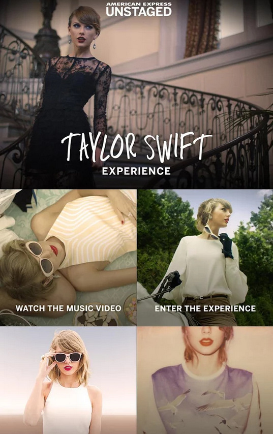 Taylor Swift Experience (2)
