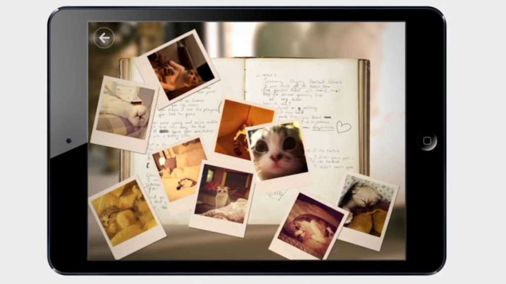 Taylor Swift Experience (3)