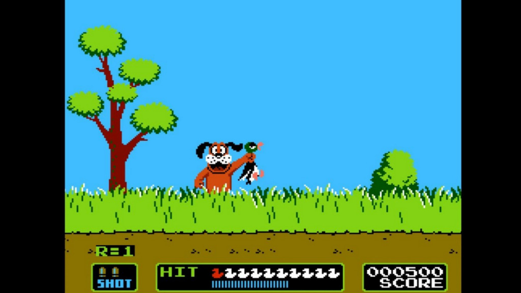 Duck Hunt (1)