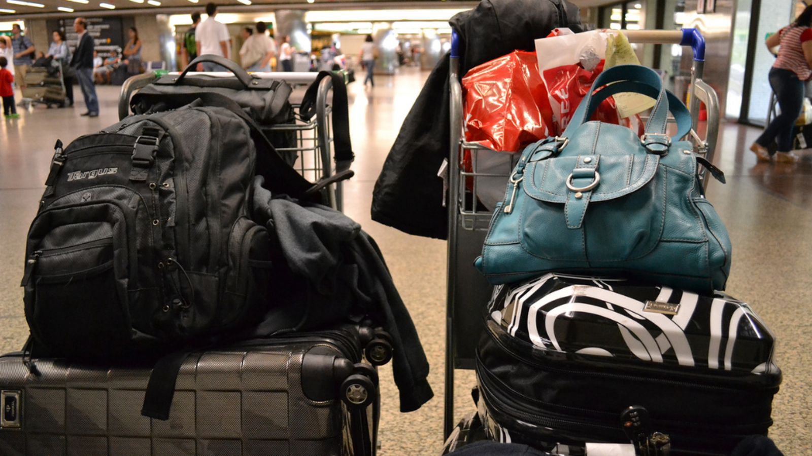 5672513721_36824ce65f_b.0.0