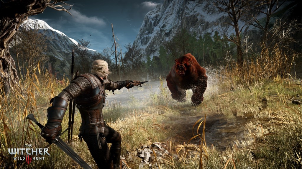 The Witcher 3 (3)
