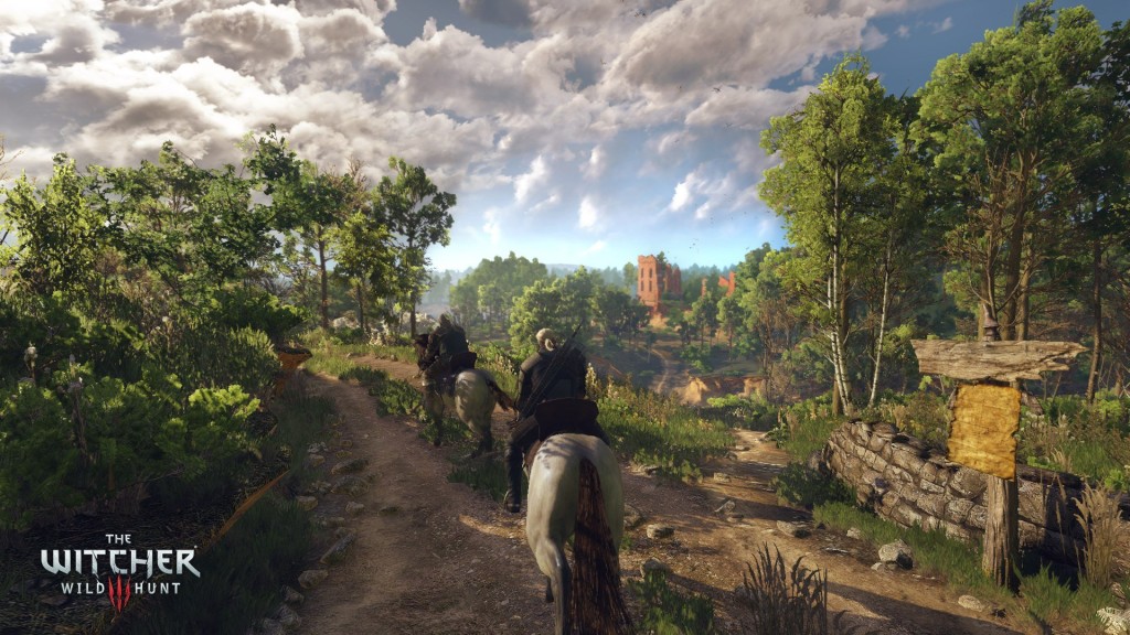 The Witcher 3 (5)