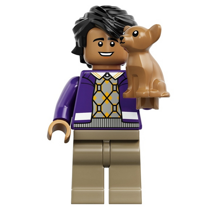 Big Bang Theory LEGO (3)