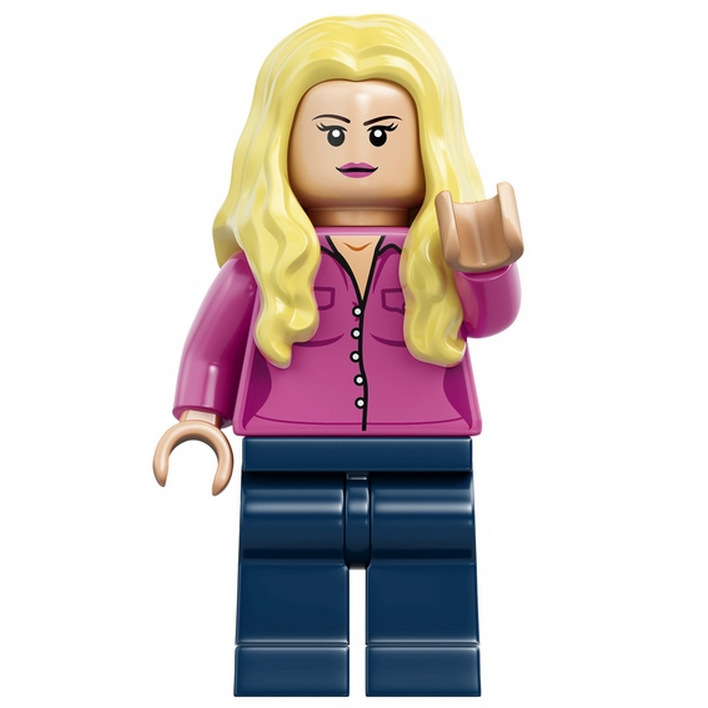 Big Bang Theory LEGO (4)