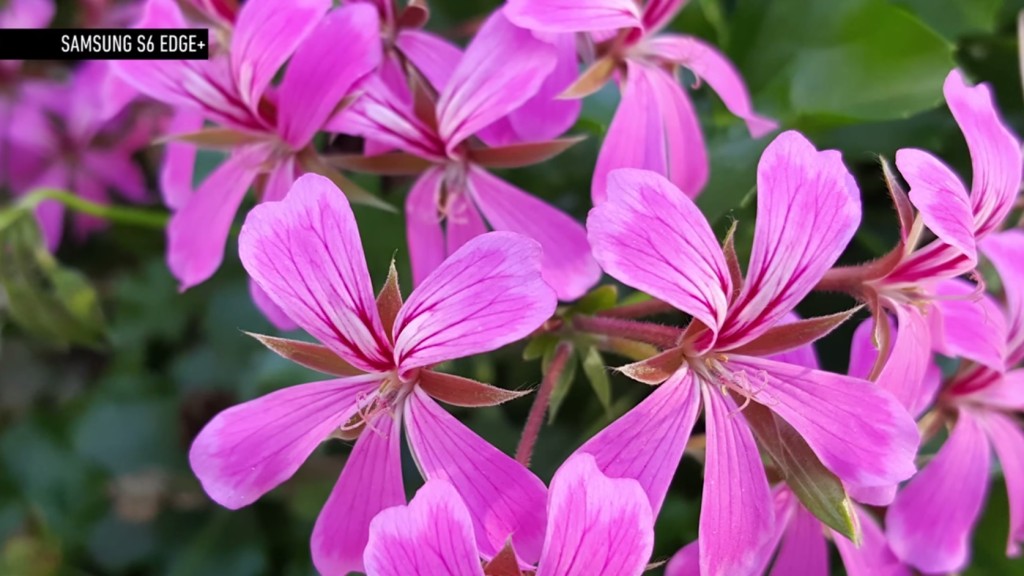 Càmara vs iphone LG Galaxy comparacion 7