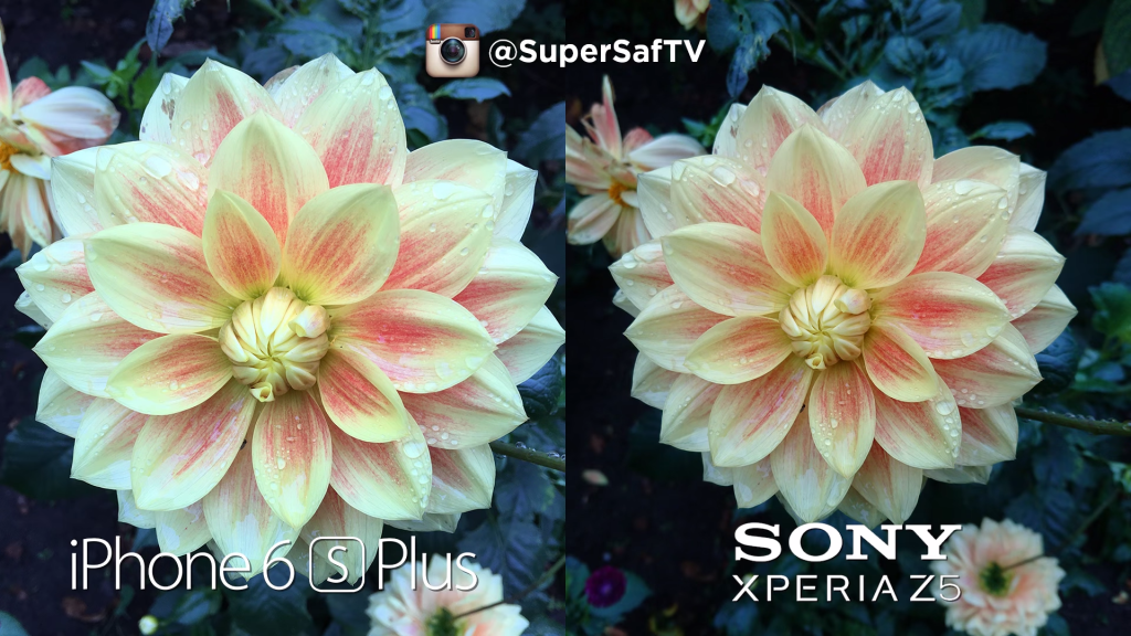 Xperia z5 vs iPhone 6s plus (2)