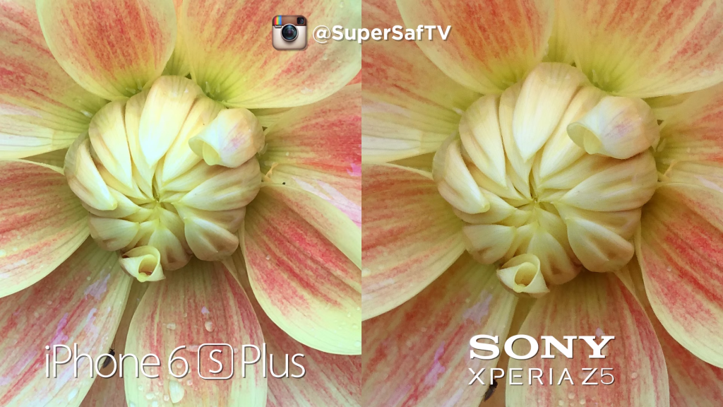 Xperia z5 vs iPhone 6s plus (3)
