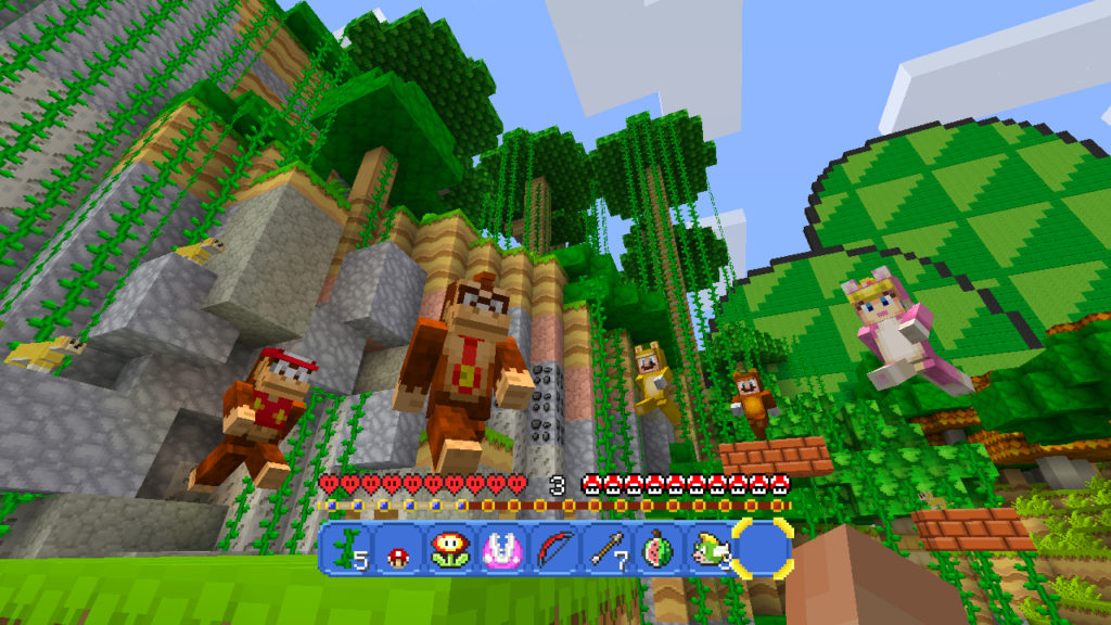 Minecraft Wii U (4)