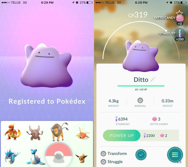 ditto-2