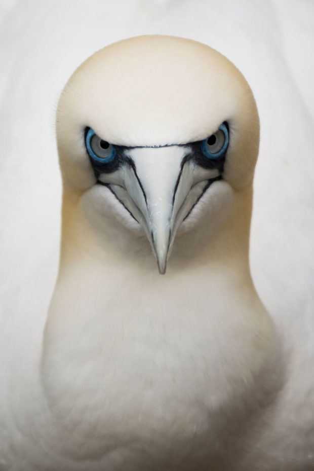 Mejores fotos Sony World Photography