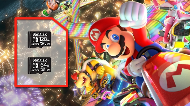 nintendo sandisk