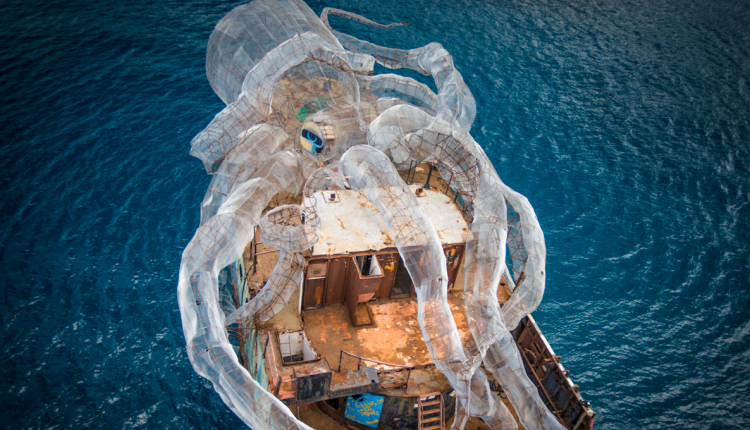 arrecife pulpo