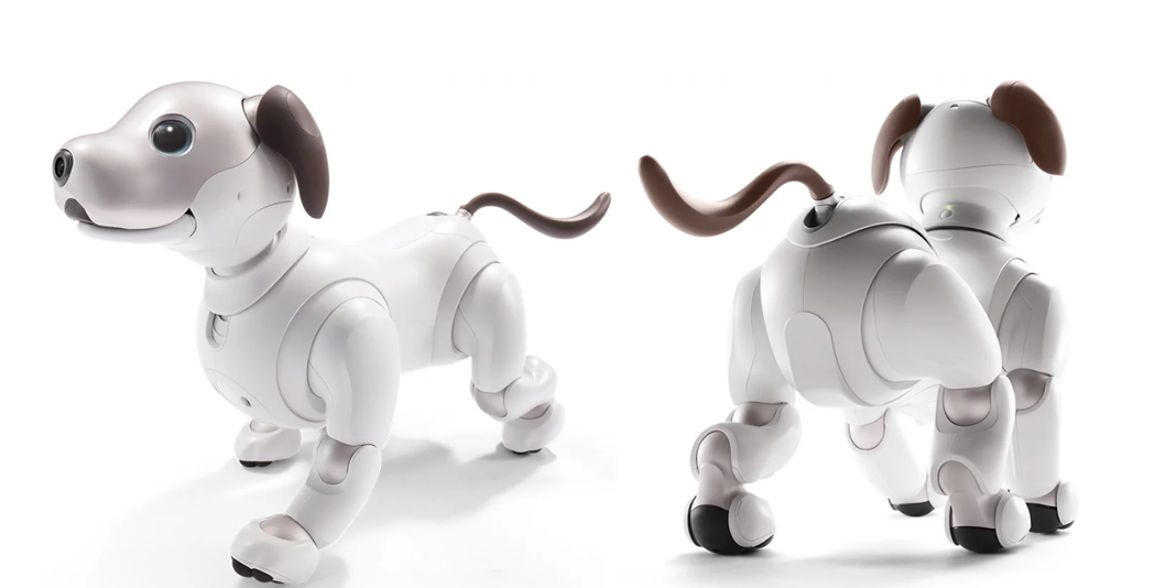 aibo