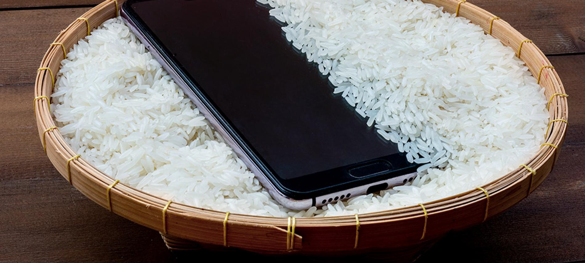 Se Puede Meter El Iphone 12 Al Agua
